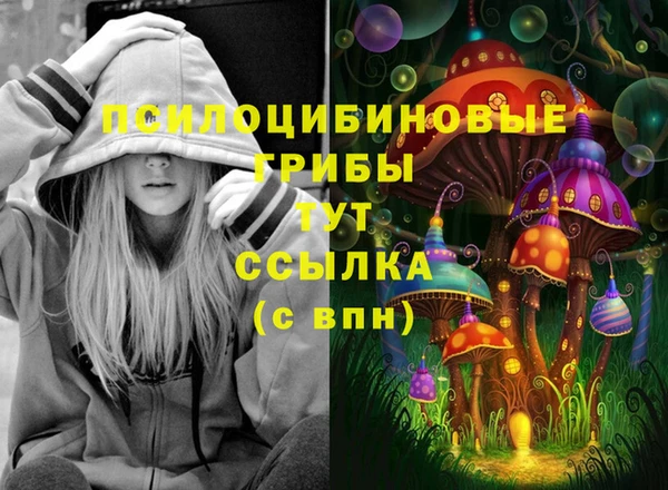 сатива Армянск