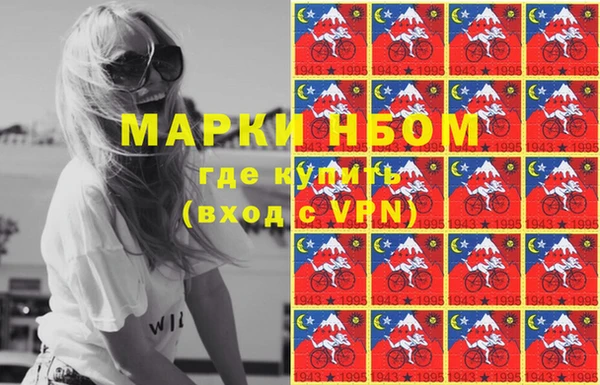 молекула духа Арсеньев