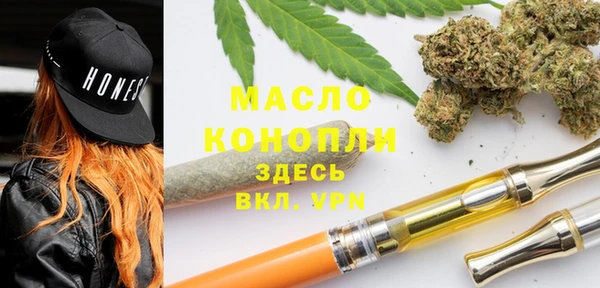 молекула духа Арсеньев