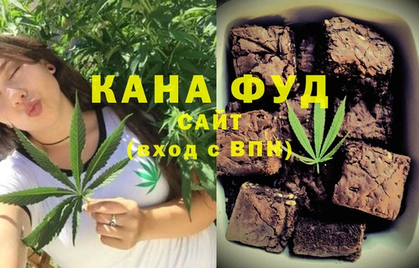 молекула духа Арсеньев