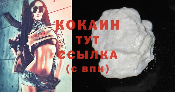 молекула духа Арсеньев