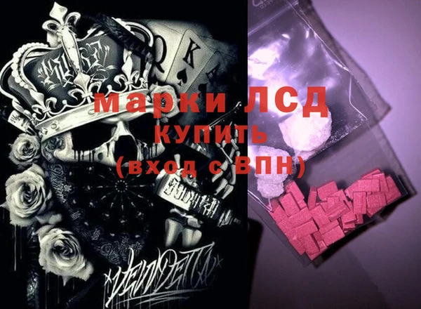 молекула духа Арсеньев