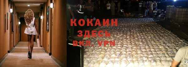 молекула духа Арсеньев