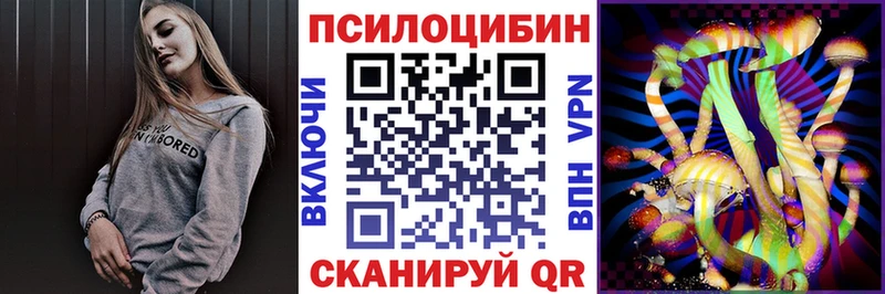 Галлюциногенные грибы Psilocybine cubensis  Новоалтайск 